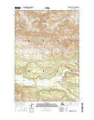 Anchorage D-3 SW Alaska Current topographic map, 1:25000 scale, 7.5 X 7.5 Minute, Year 2016