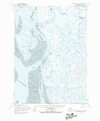 Baird Inlet A-1 Alaska Historical topographic map, 1:63360 scale, 15 X 15 Minute, Year 1954