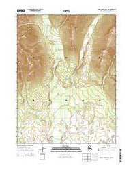 Baird Mountains B-1 SE Alaska Current topographic map, 1:25000 scale, 7.5 X 7.5 Minute, Year 2015