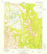 Bendeleben A-1 Alaska Historical topographic map, 1:63360 scale, 15 X 15 Minute, Year 1950