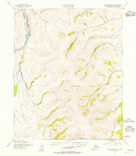 Bendeleben C-1 Alaska Historical topographic map, 1:63360 scale, 15 X 15 Minute, Year 1950