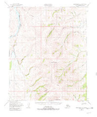 Bendeleben C-1 Alaska Historical topographic map, 1:63360 scale, 15 X 15 Minute, Year 1950
