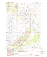 Bering Glacier A-8 Alaska Historical topographic map, 1:63360 scale, 15 X 15 Minute, Year 1984