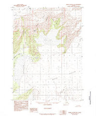 Bering Glacier B-8 Alaska Historical topographic map, 1:63360 scale, 15 X 15 Minute, Year 1985