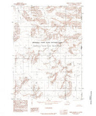 Bering Glacier C-1 Alaska Historical topographic map, 1:63360 scale, 15 X 15 Minute, Year 1985