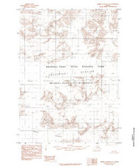Bering Glacier C-2 Alaska Historical topographic map, 1:63360 scale, 15 X 15 Minute, Year 1985