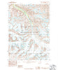 Bering Glacier D-3 Alaska Historical topographic map, 1:63360 scale, 15 X 15 Minute, Year 1984