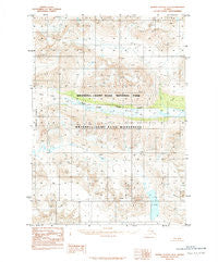 Bering Glacier D-6 Alaska Historical topographic map, 1:63360 scale, 15 X 15 Minute, Year 1984