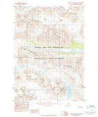 Bering Glacier D-6 Alaska Historical topographic map, 1:63360 scale, 15 X 15 Minute, Year 1984
