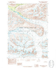 Bering Glacier D-7 Alaska Historical topographic map, 1:63360 scale, 15 X 15 Minute, Year 1984