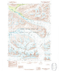 Bering Glacier D-7 Alaska Historical topographic map, 1:63360 scale, 15 X 15 Minute, Year 1984