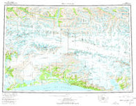 Bering Glacier Alaska Historical topographic map, 1:250000 scale, 1 X 3 Degree, Year 1959