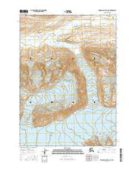 Bering Glacier C-4 NE Alaska Current topographic map, 1:25000 scale, 7.5 X 7.5 Minute, Year 2016