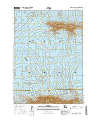 Bering Glacier C-4 SW Alaska Current topographic map, 1:25000 scale, 7.5 X 7.5 Minute, Year 2016