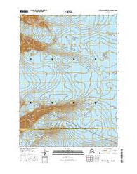 Bering Glacier C-5 SE Alaska Current topographic map, 1:25000 scale, 7.5 X 7.5 Minute, Year 2016