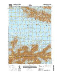 Bering Glacier C-5 SW Alaska Current topographic map, 1:25000 scale, 7.5 X 7.5 Minute, Year 2016
