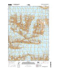 Bering Glacier C-6 NE Alaska Current topographic map, 1:25000 scale, 7.5 X 7.5 Minute, Year 2016