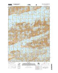 Bering Glacier C-8 SE Alaska Current topographic map, 1:25000 scale, 7.5 X 7.5 Minute, Year 2014