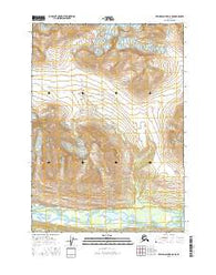 Bering Glacier D-6 NE Alaska Current topographic map, 1:25000 scale, 7.5 X 7.5 Minute, Year 2016