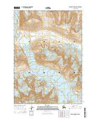 Bering Glacier D-6 SW Alaska Current topographic map, 1:25000 scale, 7.5 X 7.5 Minute, Year 2014