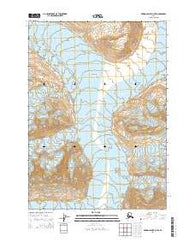Bering Glacier D-7 SE Alaska Current topographic map, 1:25000 scale, 7.5 X 7.5 Minute, Year 2014