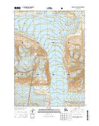 Bering Glacier D-8 SE Alaska Current topographic map, 1:25000 scale, 7.5 X 7.5 Minute, Year 2014