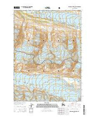 Bering Glacier D-8 SW Alaska Current topographic map, 1:25000 scale, 7.5 X 7.5 Minute, Year 2014