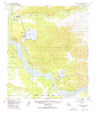 Big Delta B-6 Alaska Historical topographic map, 1:63360 scale, 15 X 15 Minute, Year 1949