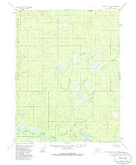 Black River C-2 Alaska Historical topographic map, 1:63360 scale, 15 X 15 Minute, Year 1956