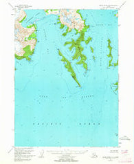 Blying Sound C-8 Alaska Historical topographic map, 1:63360 scale, 15 X 15 Minute, Year 1951