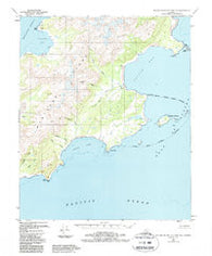 Blying Sound D-1 and D-2 Alaska Historical topographic map, 1:63360 scale, 15 X 15 Minute, Year 1951