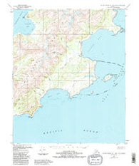 Blying Sound D-1 and D-2 Alaska Historical topographic map, 1:63360 scale, 15 X 15 Minute, Year 1951