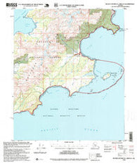 Blying Sound D-1 and D-2 Alaska Historical topographic map, 1:63360 scale, 15 X 15 Minute, Year 1995