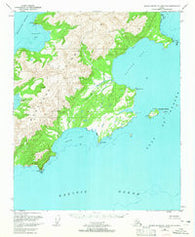 Blying Sound D-1 and D-2 Alaska Historical topographic map, 1:63360 scale, 15 X 15 Minute, Year 1951