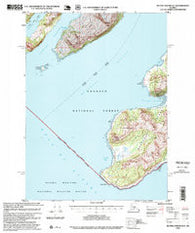 Blying Sound D-3 Alaska Historical topographic map, 1:63360 scale, 15 X 15 Minute, Year 1995