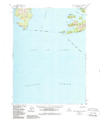 Blying Sound D-4 Alaska Historical topographic map, 1:63360 scale, 15 X 15 Minute, Year 1950