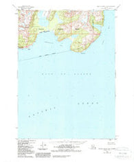 Blying Sound D-5 Alaska Historical topographic map, 1:63360 scale, 15 X 15 Minute, Year 1950