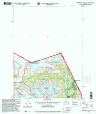 Bradfield Canal A-1 Alaska Historical topographic map, 1:63360 scale, 15 X 15 Minute, Year 1996