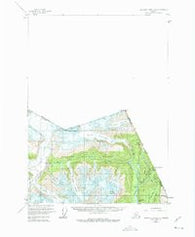 Bradfield Canal A-1 Alaska Historical topographic map, 1:63360 scale, 15 X 15 Minute, Year 1955