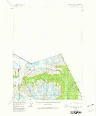 Bradfield Canal A-1 Alaska Historical topographic map, 1:63360 scale, 15 X 15 Minute, Year 1955