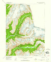 Bradfield canal A-2 Alaska Historical topographic map, 1:63360 scale, 15 X 15 Minute, Year 1955