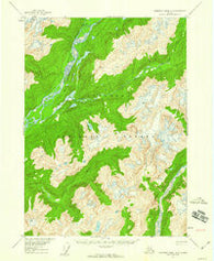 Bradfield canal A-3 Alaska Historical topographic map, 1:63360 scale, 15 X 15 Minute, Year 1955