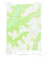 Bradfield canal A-3 Alaska Historical topographic map, 1:63360 scale, 15 X 15 Minute, Year 1955