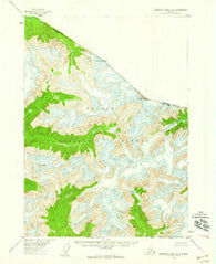 Bradfield canal B-4 Alaska Historical topographic map, 1:63360 scale, 15 X 15 Minute, Year 1955