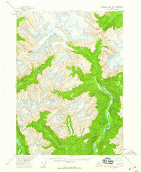 Bradfield canal B-5 Alaska Historical topographic map, 1:63360 scale, 15 X 15 Minute, Year 1955