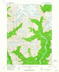 Bradfield canal B-5 Alaska Historical topographic map, 1:63360 scale, 15 X 15 Minute, Year 1955
