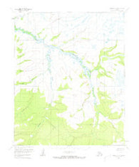 Candle C-2 Alaska Historical topographic map, 1:63360 scale, 15 X 15 Minute, Year 1954