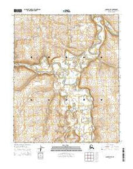 Candle D-4 SE Alaska Current topographic map, 1:25000 scale, 7.5 X 7.5 Minute, Year 2014