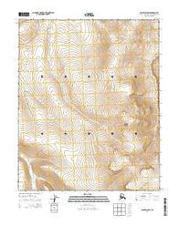 Candle D-5 SW Alaska Current topographic map, 1:25000 scale, 7.5 X 7.5 Minute, Year 2014