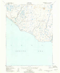 Cape Mendenhall D-5 Alaska Historical topographic map, 1:63360 scale, 15 X 15 Minute, Year 1952